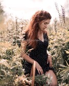 Анкета проститутки Тая - метро Свиблово, возраст - 19