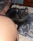 Анкета проститутки Света - метро Дорогомилово, возраст - 22